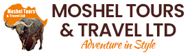 Moshel Tours and Travel